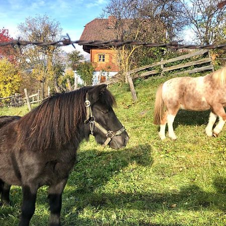 Feielhof Hotel Krakaudorf Eksteriør billede