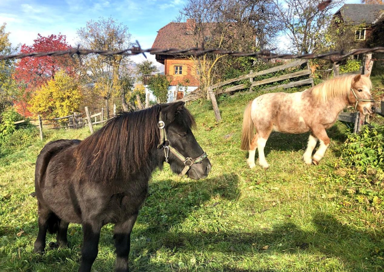 Feielhof Hotel Krakaudorf Eksteriør billede